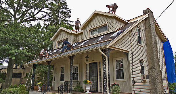 Roof Gutter Cleaning in Danville, IA