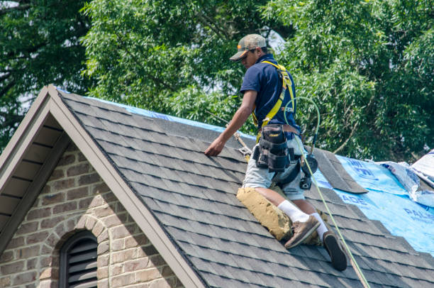 Best Roof Repair Services  in Danville, IA